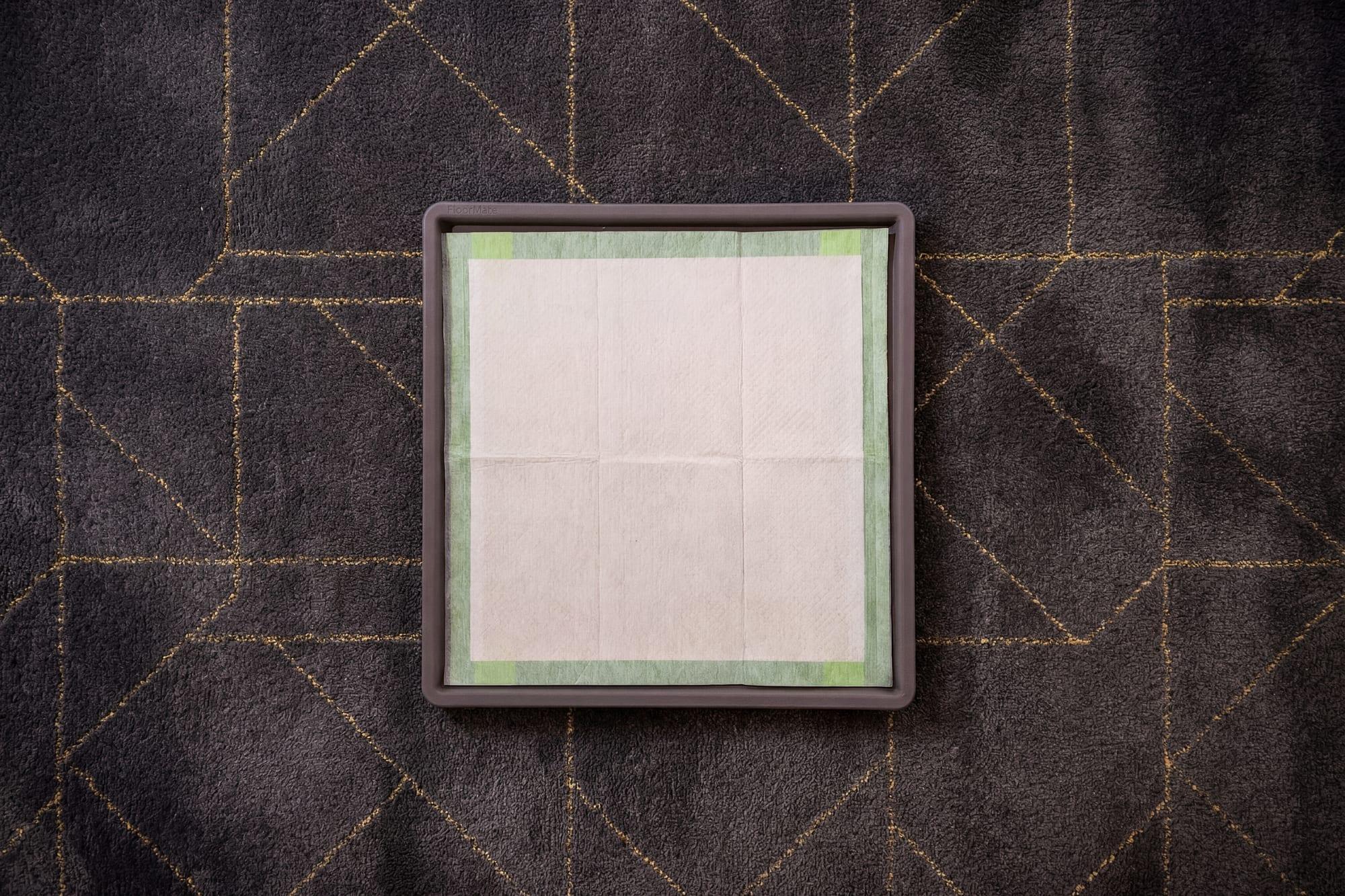 A Pee Pad held flat inside the FloorMate, seen from above
