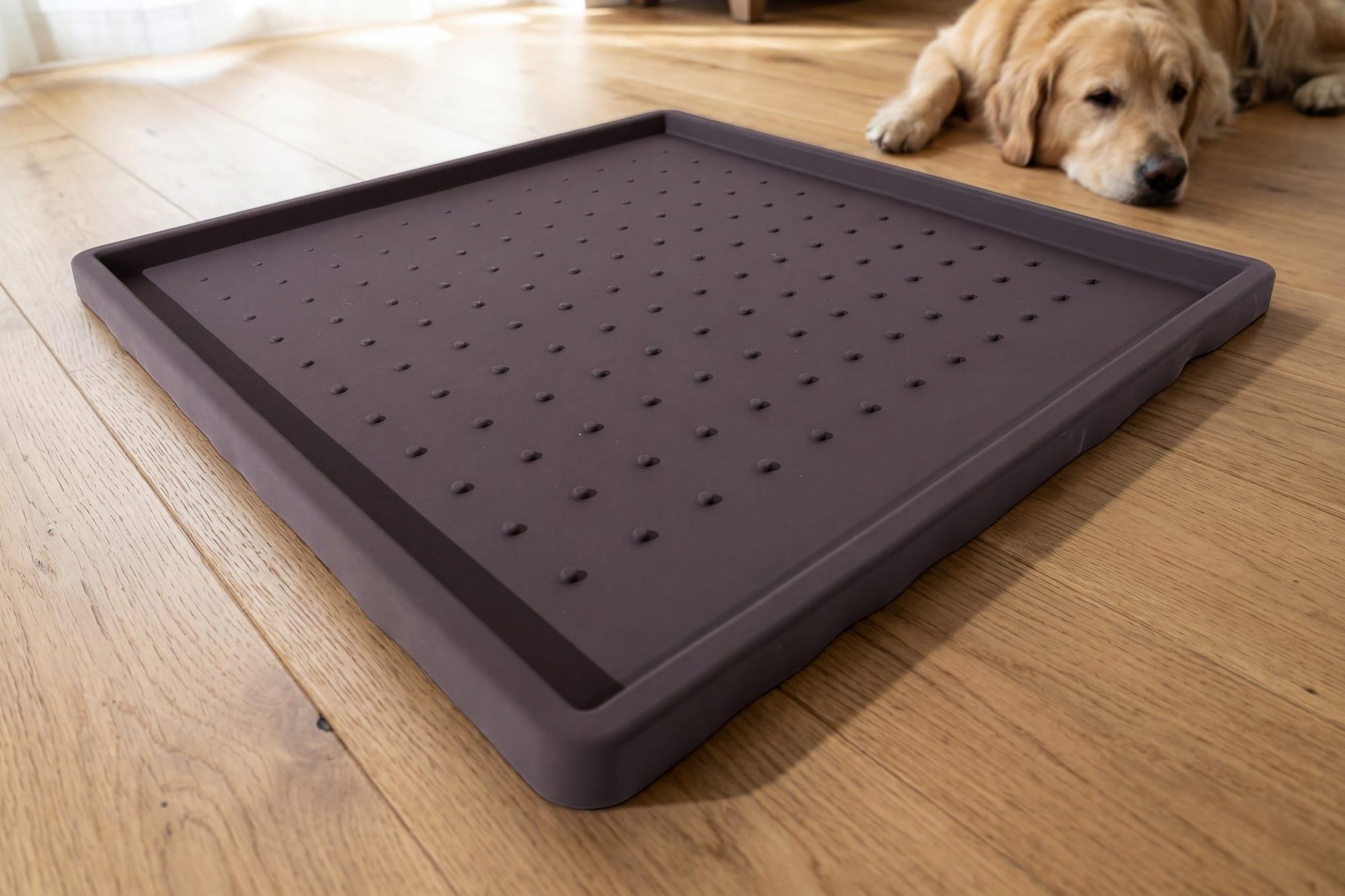 A puppy sleeping beside its bed with a Pee Pad station set up nearby
