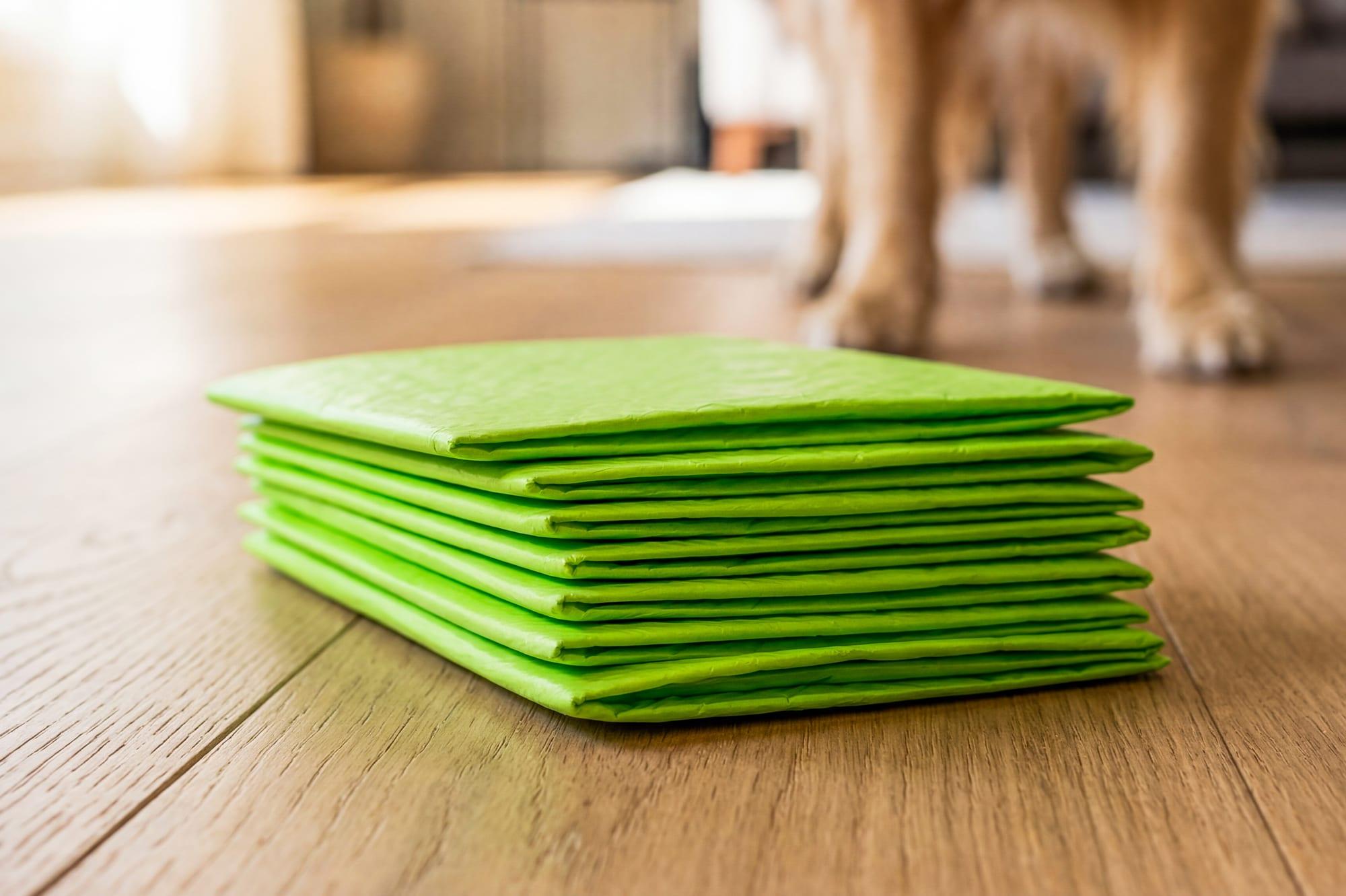 A dog's paws beside the FloorMate's low, easy-to-step-on silicone edge