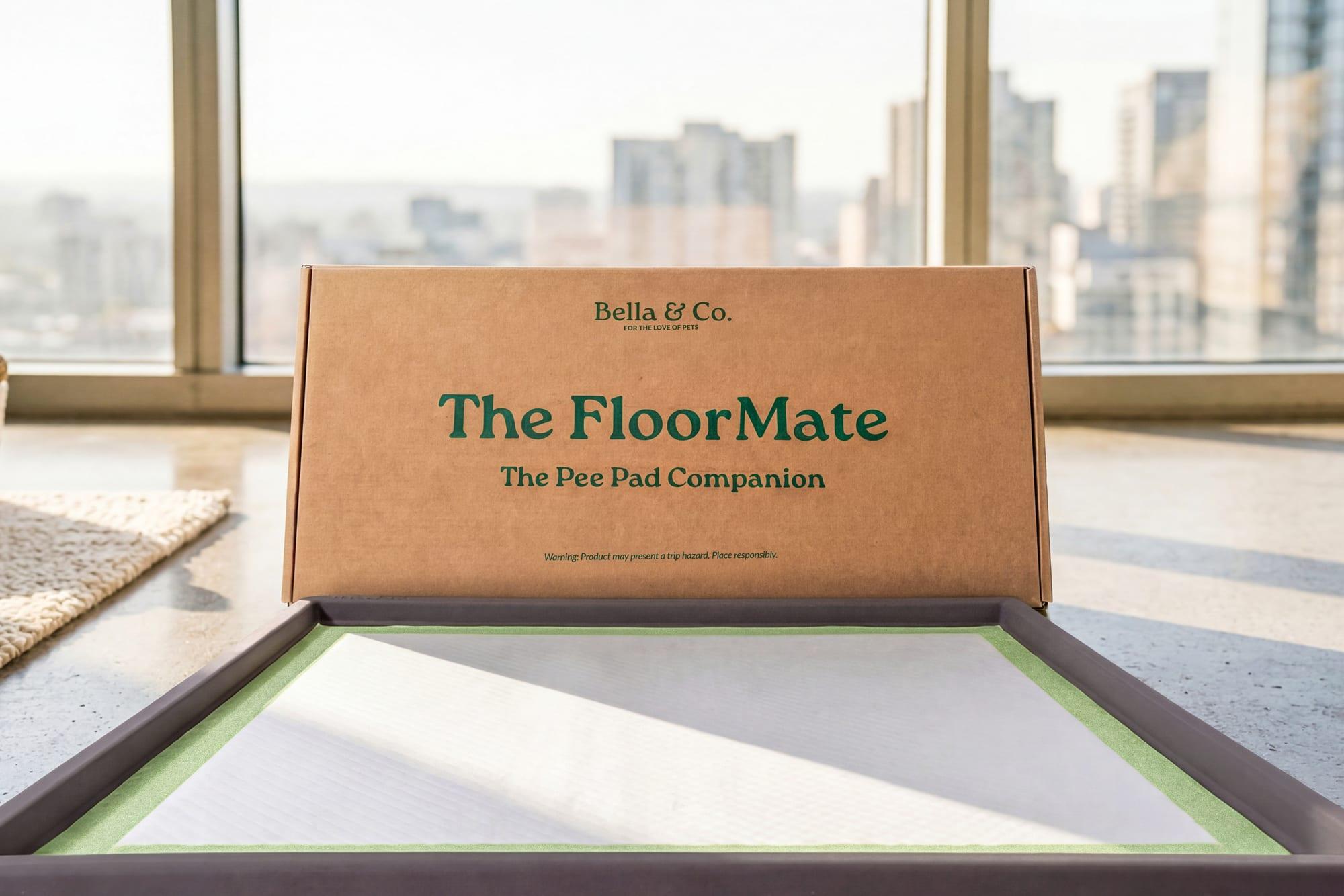 Bella & Co. box on a windowsill with a city view