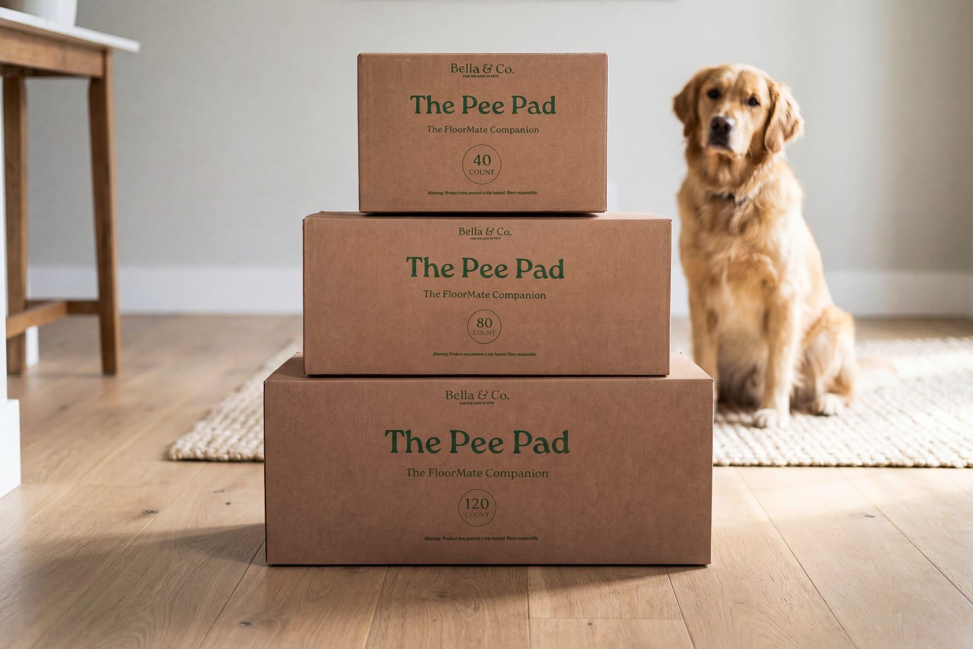 Golden retriever posing proudly with Bella & Co. products