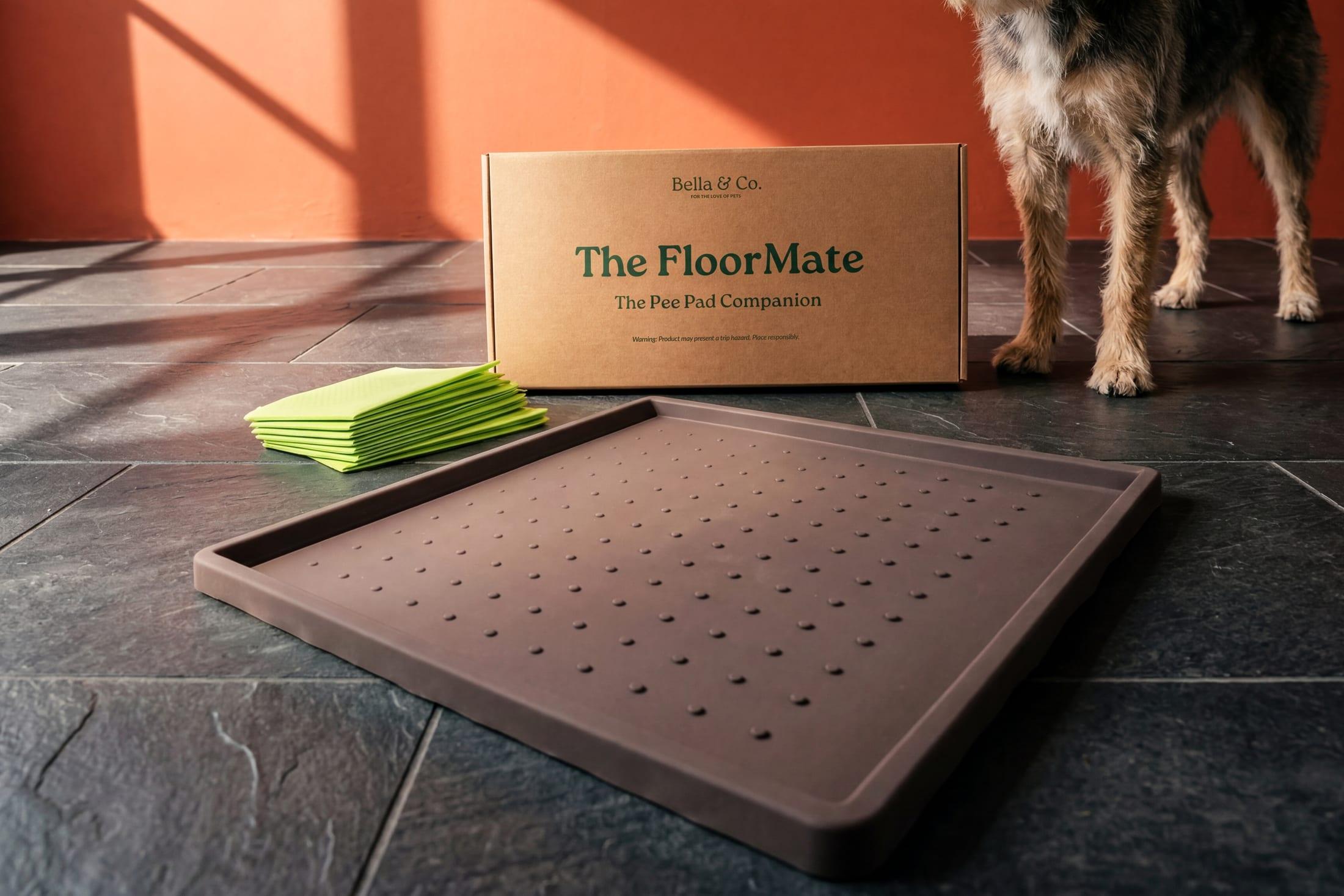 Pee Pads vs. Grass Pads vs. Dog Litter Boxes: An Honest Comparison