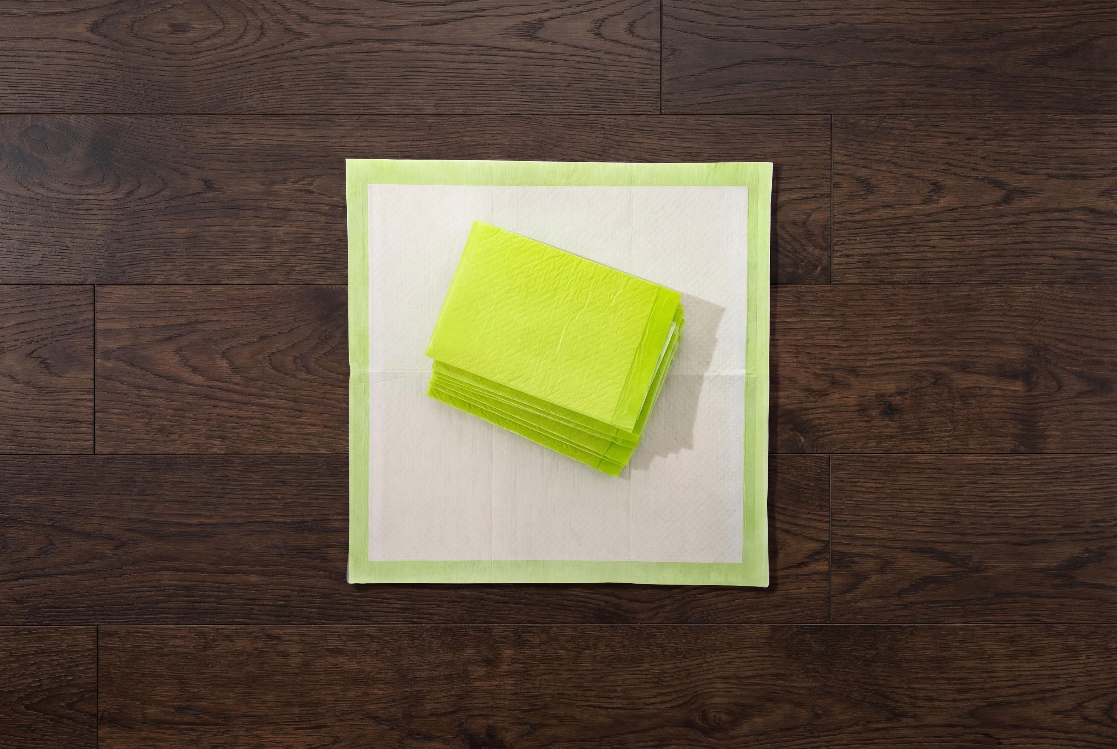 The Pee Pad