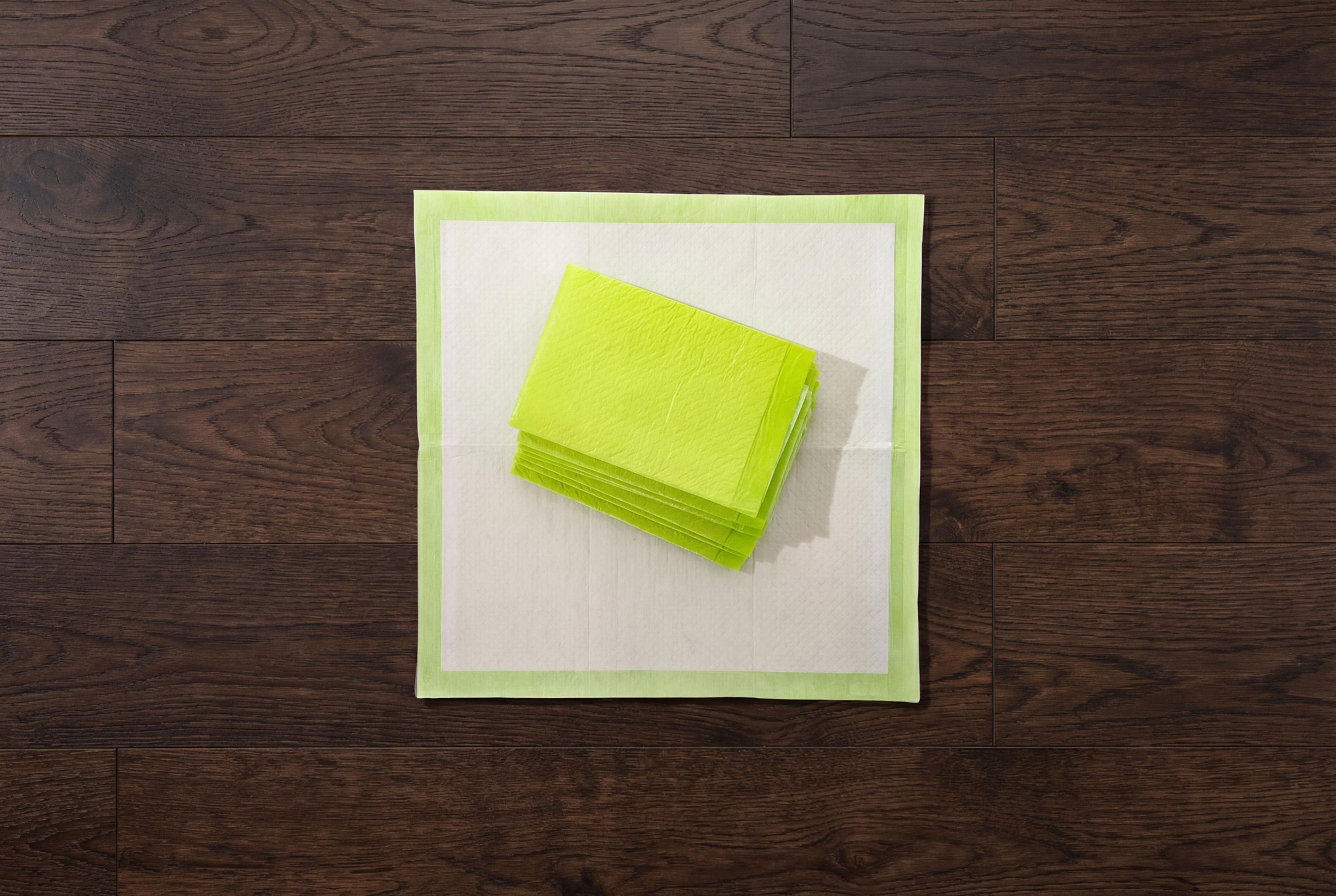 The Pee Pad